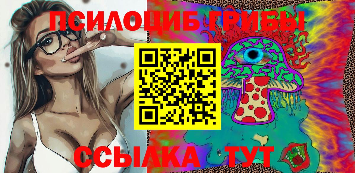 Галлюциногенные грибы GOLDEN TEACHER  Вход с VPN  Долгопрудный 
