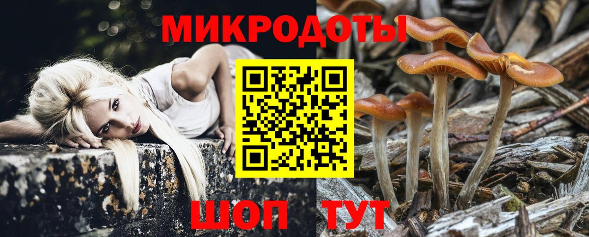 Галлюциногенные грибы Psilocybine cubensis Долгопрудный